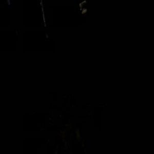 Meet your Posher, Alayna